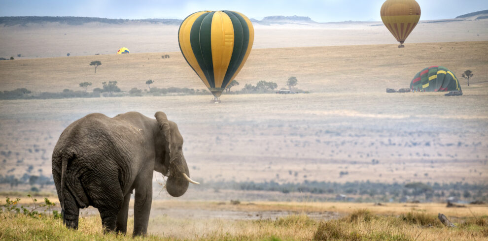 3-Day Taste Safari Tours