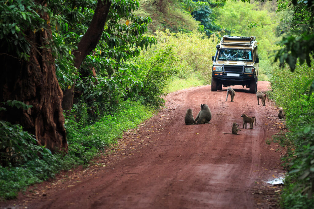 2-days-Budget-Safari