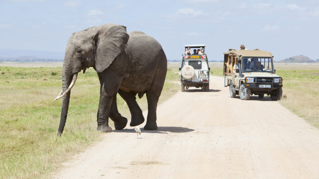 3-Day Guided Safari