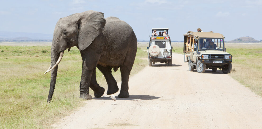 3-Day Guided Safari