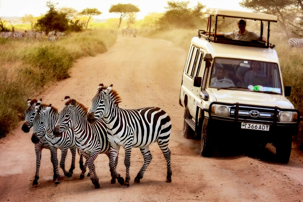 4-Day Affordable Safari Tarangire, Lake Manyara,Ngorongoro & Materuni Waterfalls