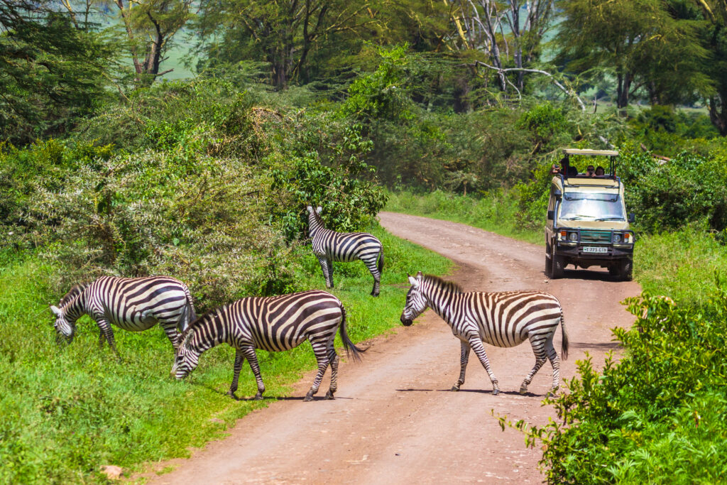 6-Day Tanzania Safari