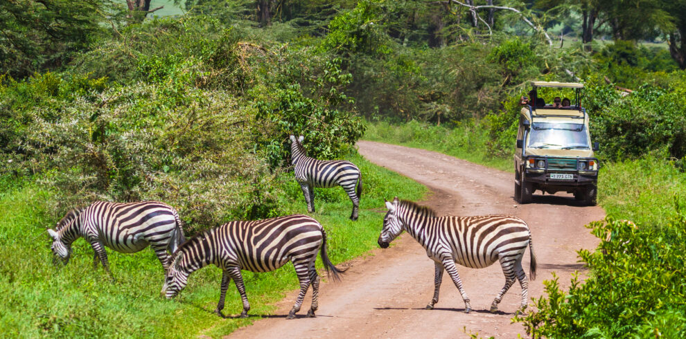 6-Day Tanzania Safari