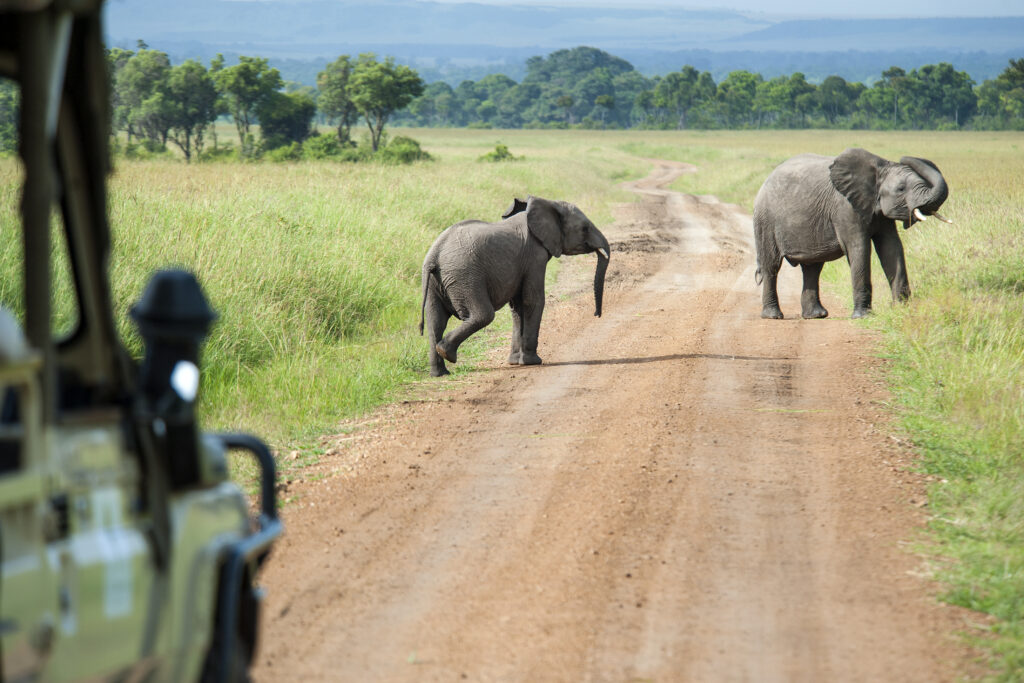 Tanzania-Safari-Tours