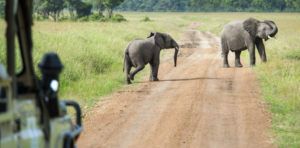 Tanzania-Safari-Tours