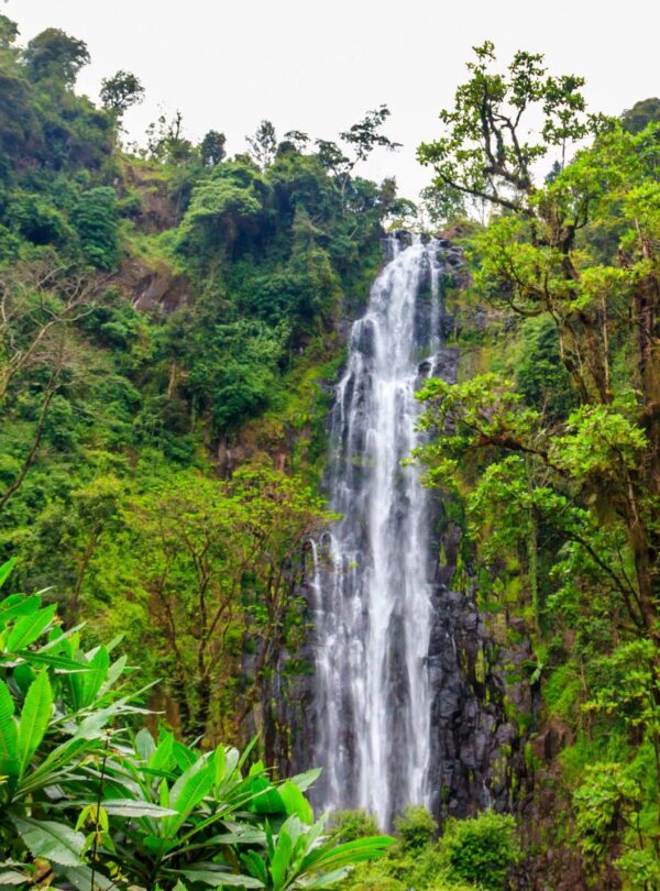 Materuni-waterfalls